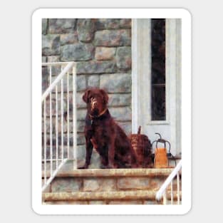 Dogs - Chocolate Labrador on Porch Sticker